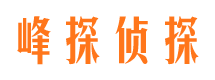 大城市侦探公司